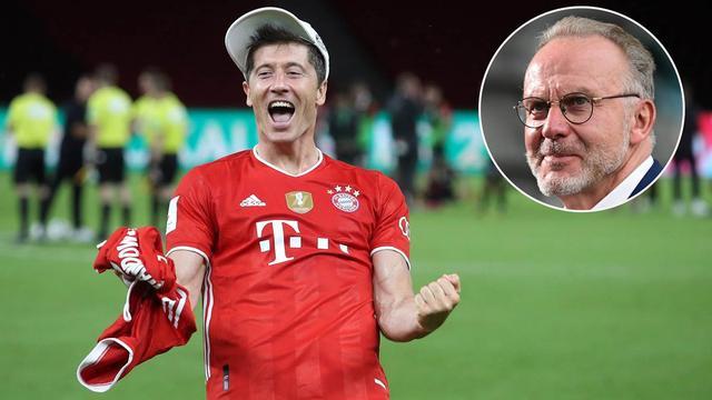 森林狼已经 森林狼已经