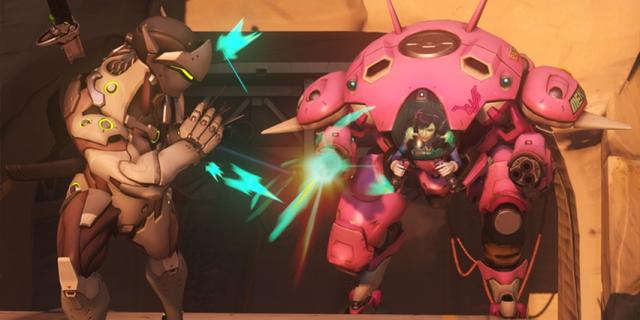 蒂在培养年 蒂在培养年